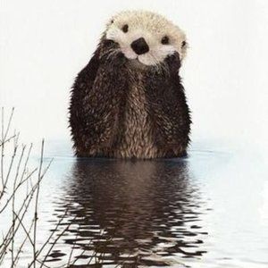 Meet your Posher, Hailey